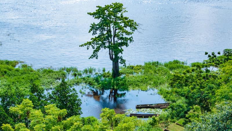 Central African Republic