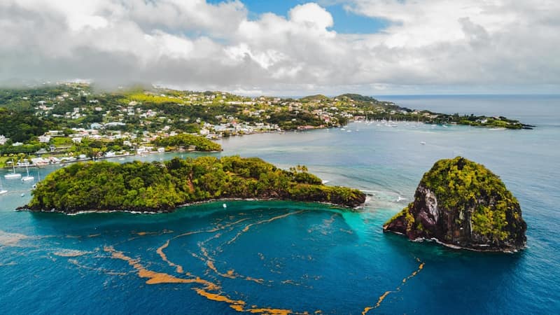 Saint Vincent and the Grenadines